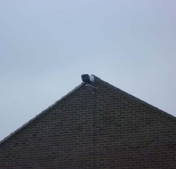 CCTV camera on roof top