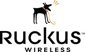 Ruckus Wireless Network Logo