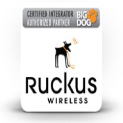 Badge of Ruckus wireless partners